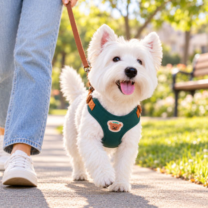🐾  Cute Bear Adjustable Pet Harness & Leash Set