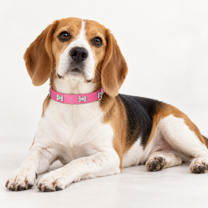 🐾 Durable Bone-Design Leather Pet Collar for Small & Large Dogs