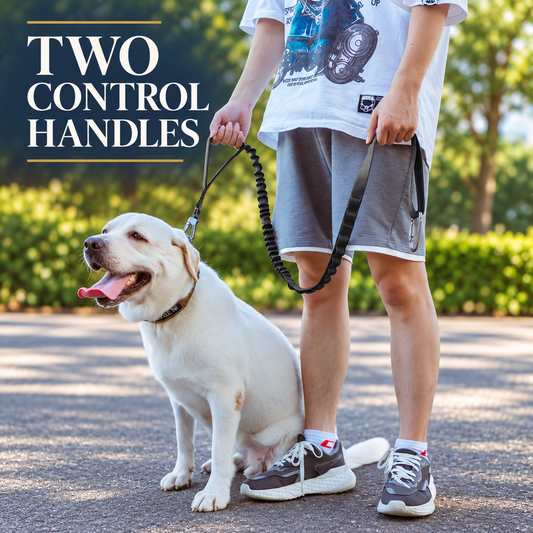 🐾 Military Tactical Dog Leash with Dual Handles