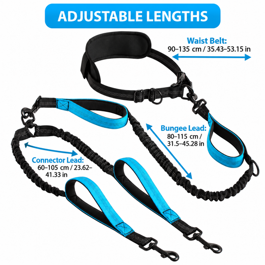 🐾 Heavy-Duty Shock-Absorbing Bungee Dog Leash