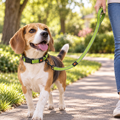 🐾Reflective Dog Collar & Leash Set