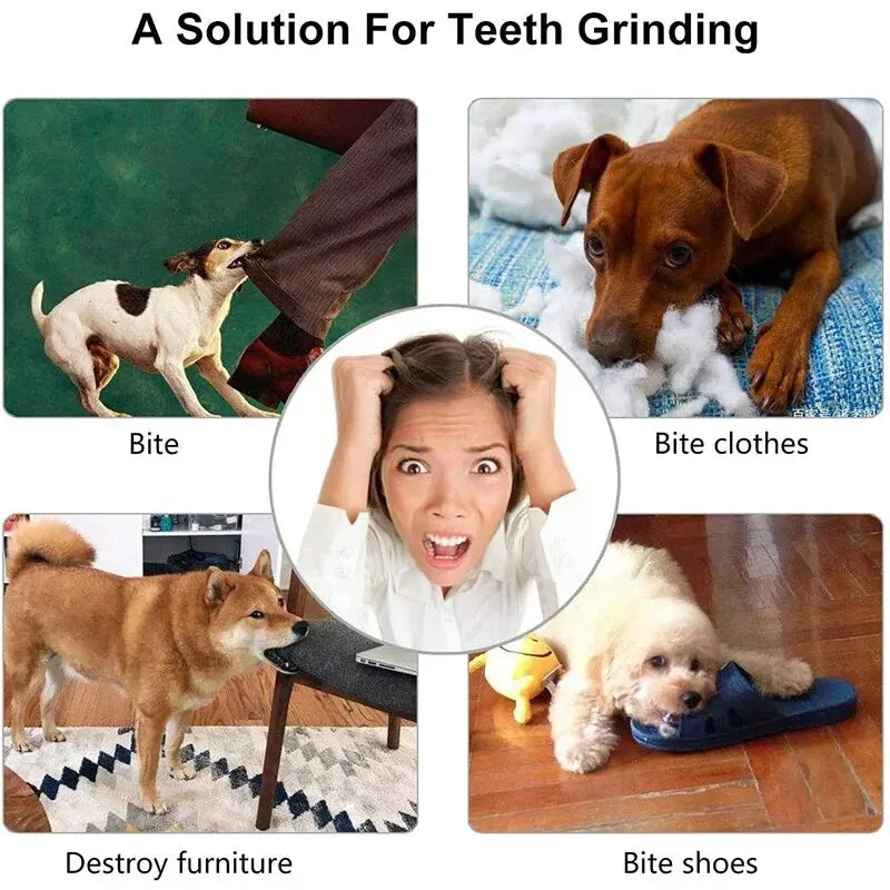 🐾 Bite-Resistant Treat Dispensing Dog Toy Ball for Interactive Play