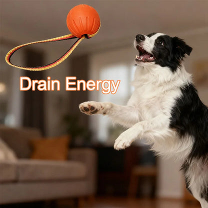 🐾 EVA Hollow Ball Chew & Training Toy for Dogs