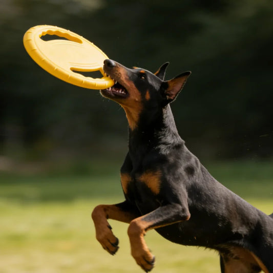 🐾 EVA Flying Disc Chew & Training Toy for Dogs