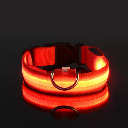 🐾 LED Glow-in-the-Dark Nylon Pet Leash for Dogs