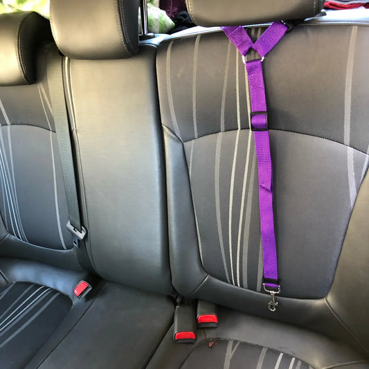 🐾 2-in-1 Adjustable Pet Car Seat Belt & Leash for Dogs