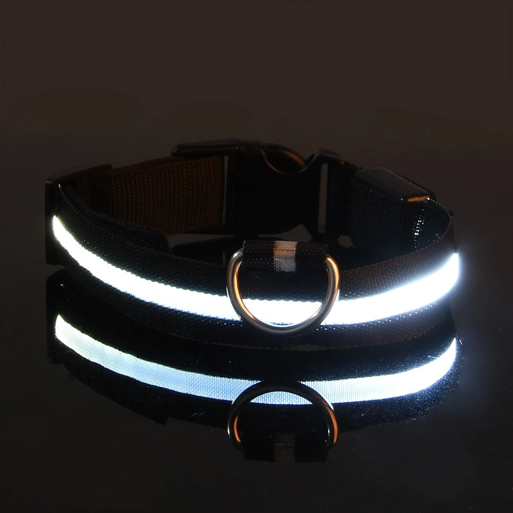 🐾 LED Glow-in-the-Dark Nylon Pet Leash for Dogs