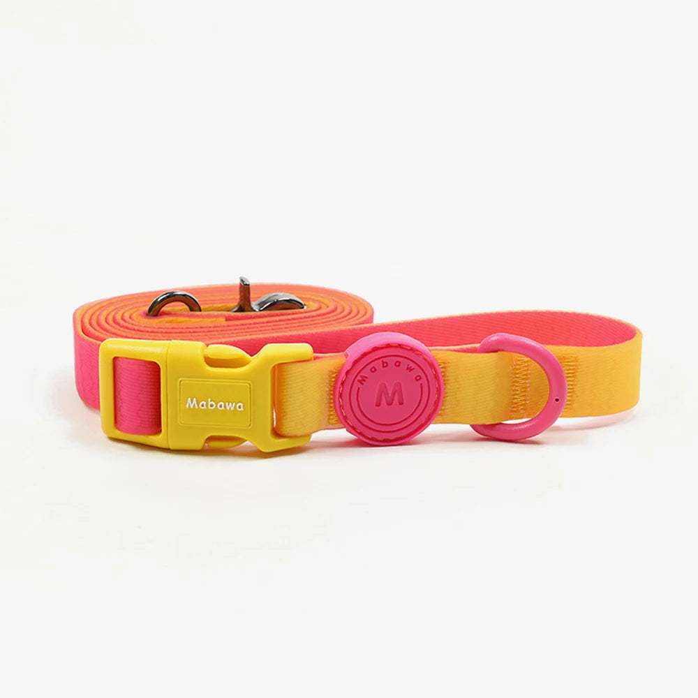 🐾 Candy Color Pet Leash for Small & Medium Dogs & Cats