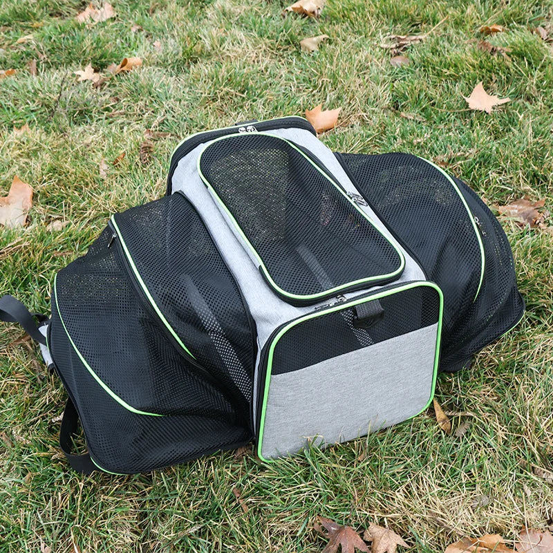 🎒 Expandable Foldable Pet Carrier Bag with Breathable Mesh for Small Dogs & Cats