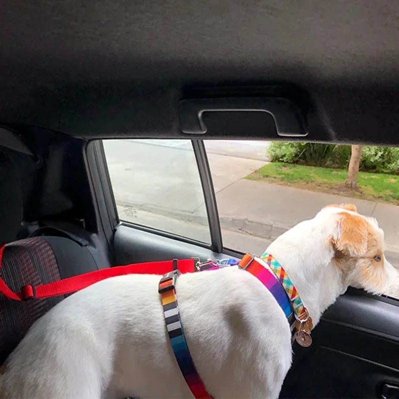 🐾 2-in-1 Adjustable Pet Car Seat Belt & Leash for Dogs