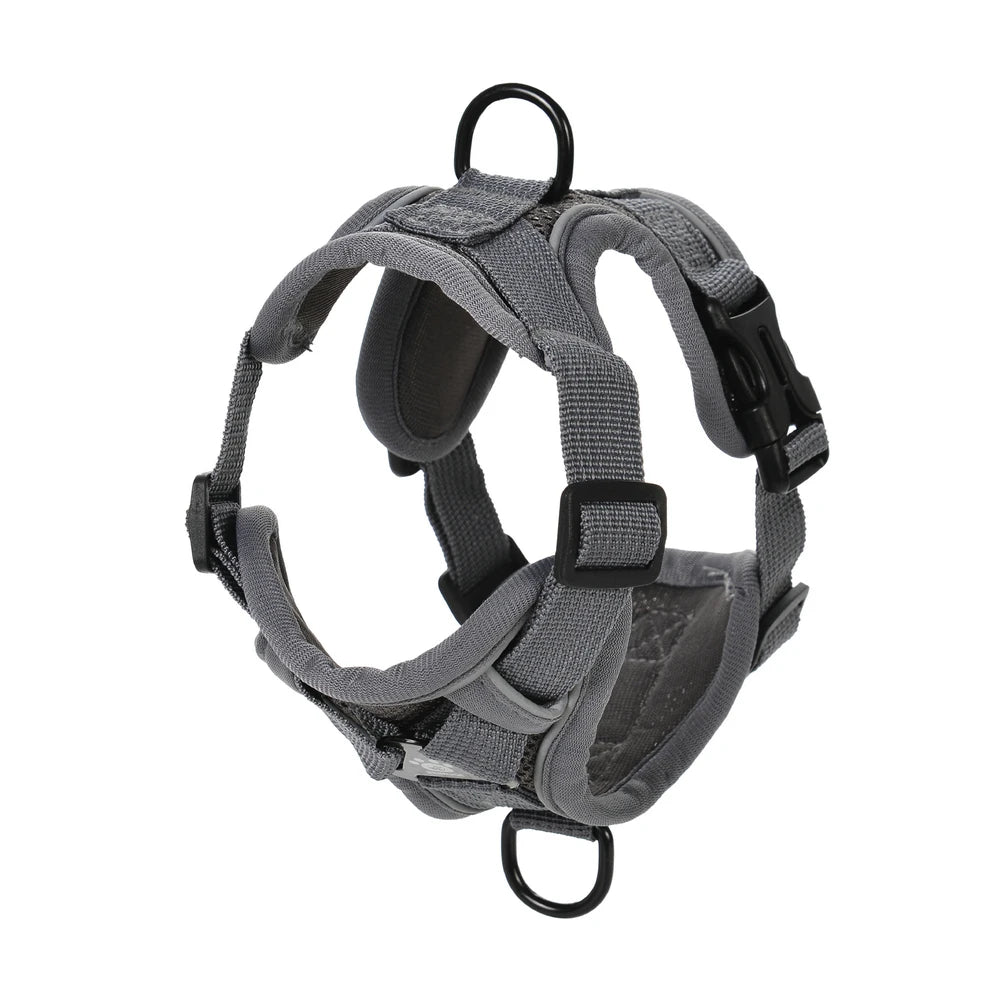 🐾 Reflective Adjustable Cat Harness & Leash Set for Outdoor Walking