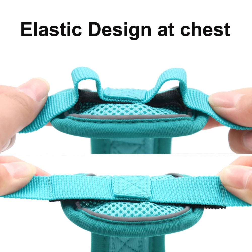 🐾 Reflective Adjustable Cat Harness & Leash Set for Outdoor Walking
