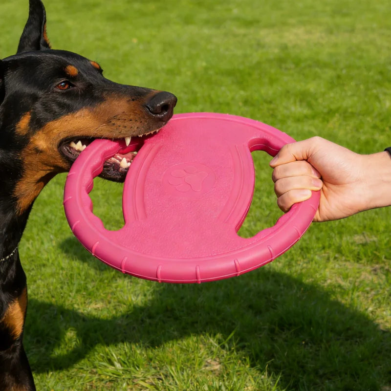 🐾 EVA Flying Disc Chew & Training Toy for Dogs