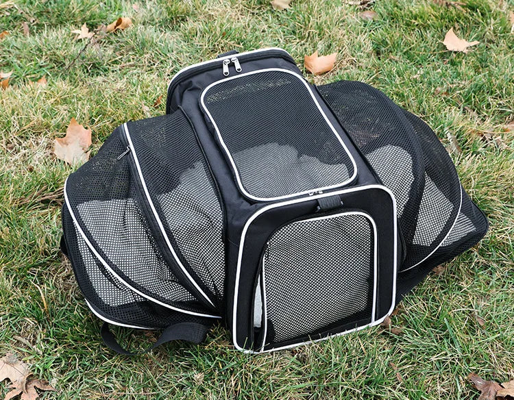 🎒 Expandable Foldable Pet Carrier Bag with Breathable Mesh for Small Dogs & Cats