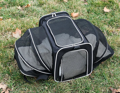 🎒 Expandable Foldable Pet Carrier Bag with Breathable Mesh for Small Dogs & Cats