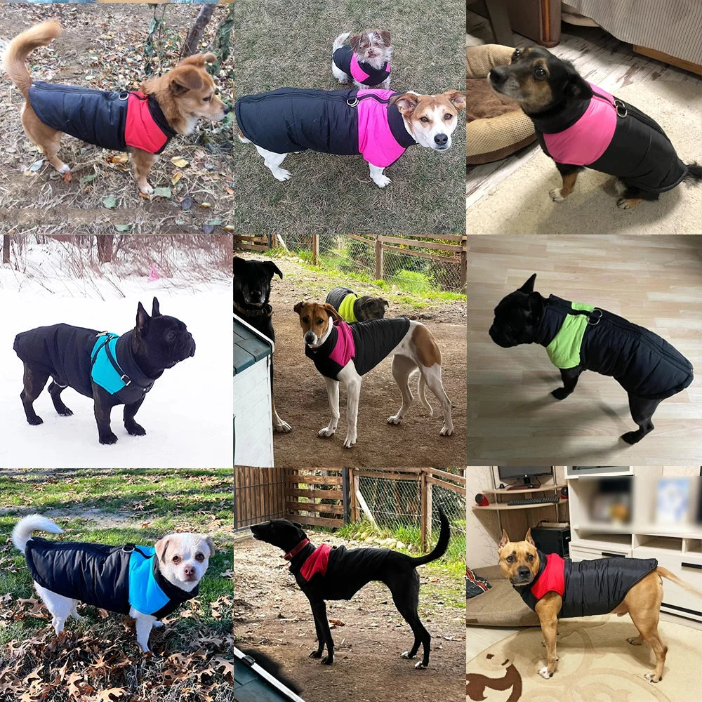 🧵 Warm Windproof & Waterproof Dog Jacket with D-Ring for Small & Large Dogs XS ~ 6XL