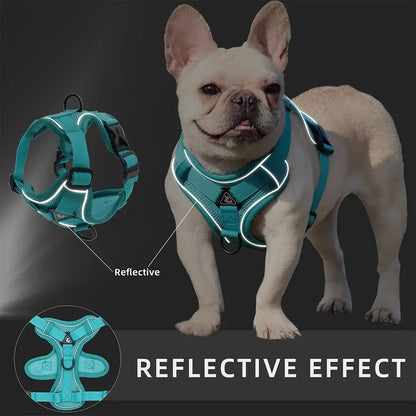 🐾 Reflective No-Pull Dog Harness & Leash Set for Small Dogs & Cats