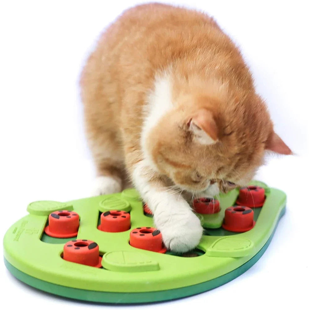 🐱インタラクティブ猫用パズルおもちゃ＆早食い防止フードスクラッチボード