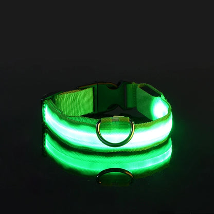 🐾 LED Glow-in-the-Dark Nylon Pet Leash for Dogs
