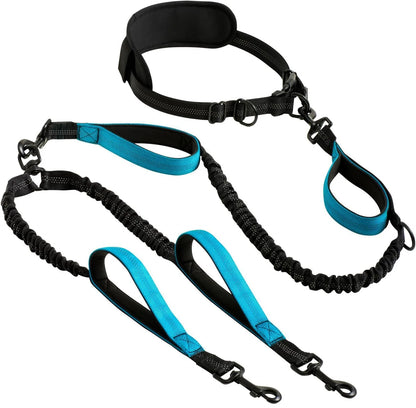 🐾 Heavy-Duty Shock-Absorbing Bungee Dog Leash