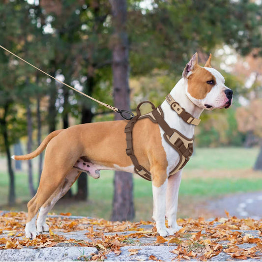 🐾 Luxury Chocolate No-Pull Adjustable Dog Harness for Small & Large Dogs