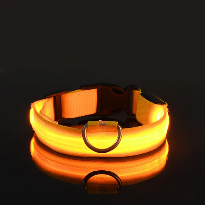 🐾 LED Glow-in-the-Dark Nylon Pet Leash for Dogs