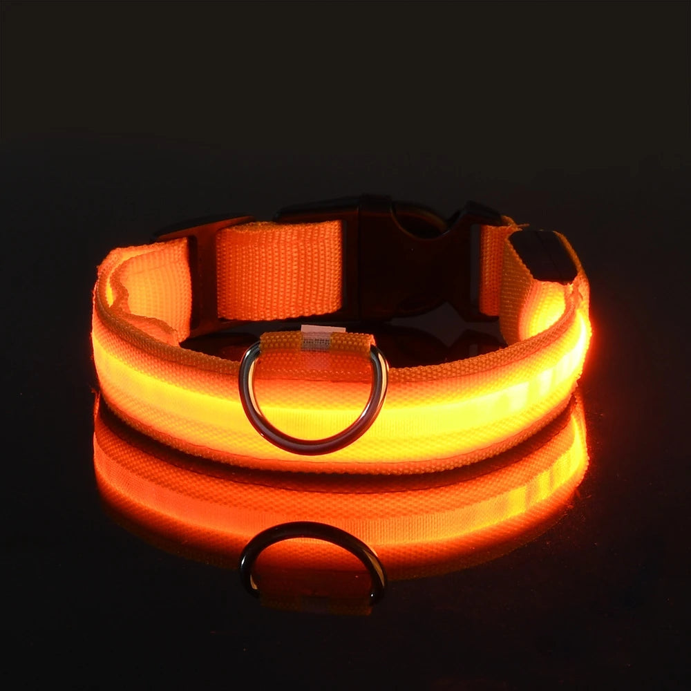 🐾 LED Glow-in-the-Dark Nylon Pet Leash for Dogs