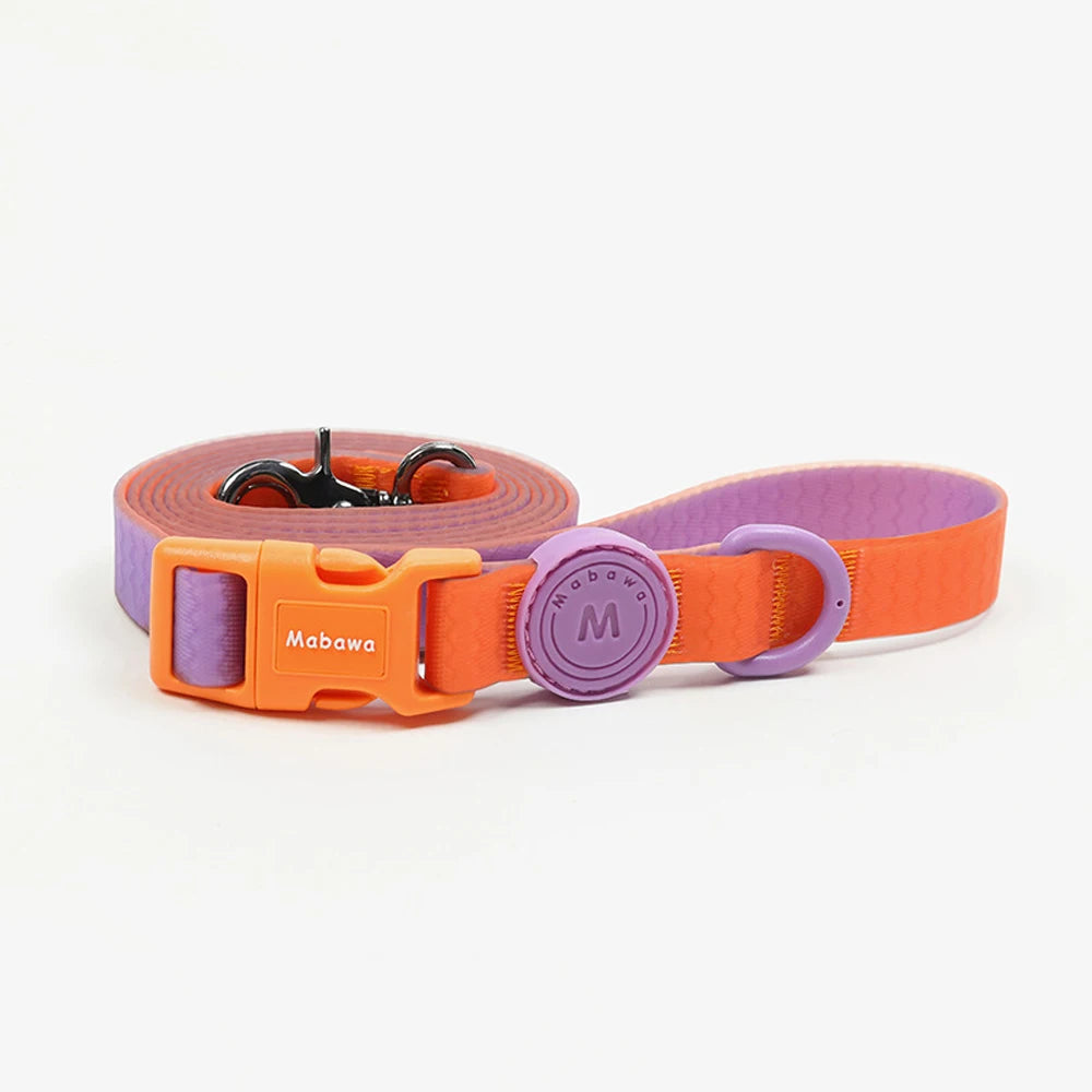 🐾 Candy Color Pet Leash for Small & Medium Dogs & Cats