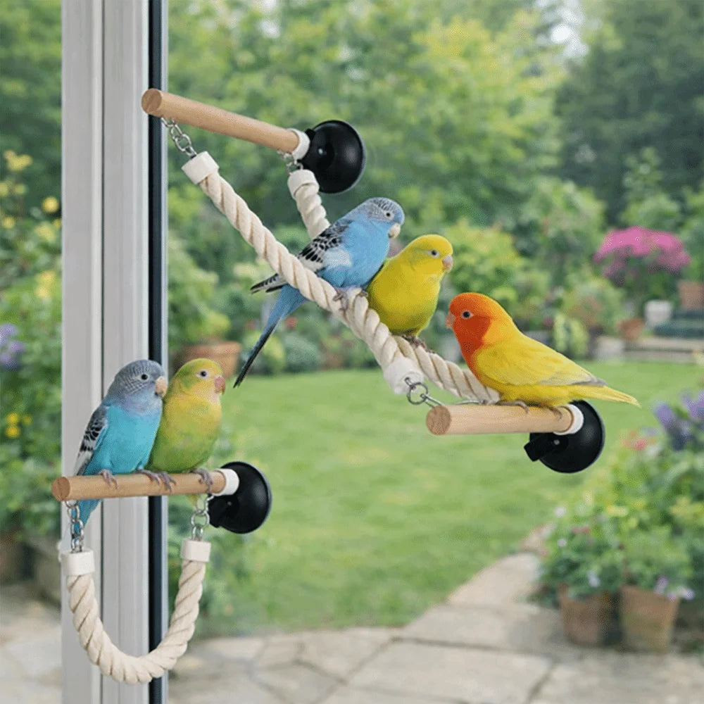 🐦 Suction Cup Parrot Climbing Perch & Hanging Bird Ladder Swing