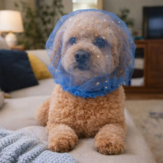 🐾 Breathable Adjustable Protective Pet Head Cover for Dogs