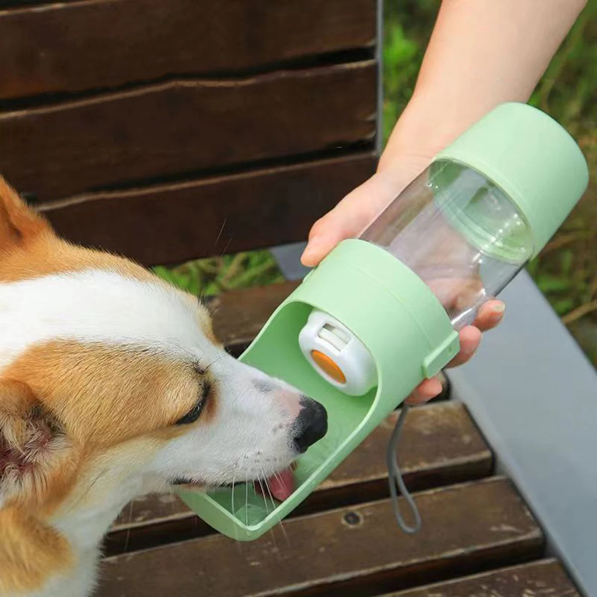 🐾 犬猫兼用 携帯用水飲みボトル 給餌器一体型