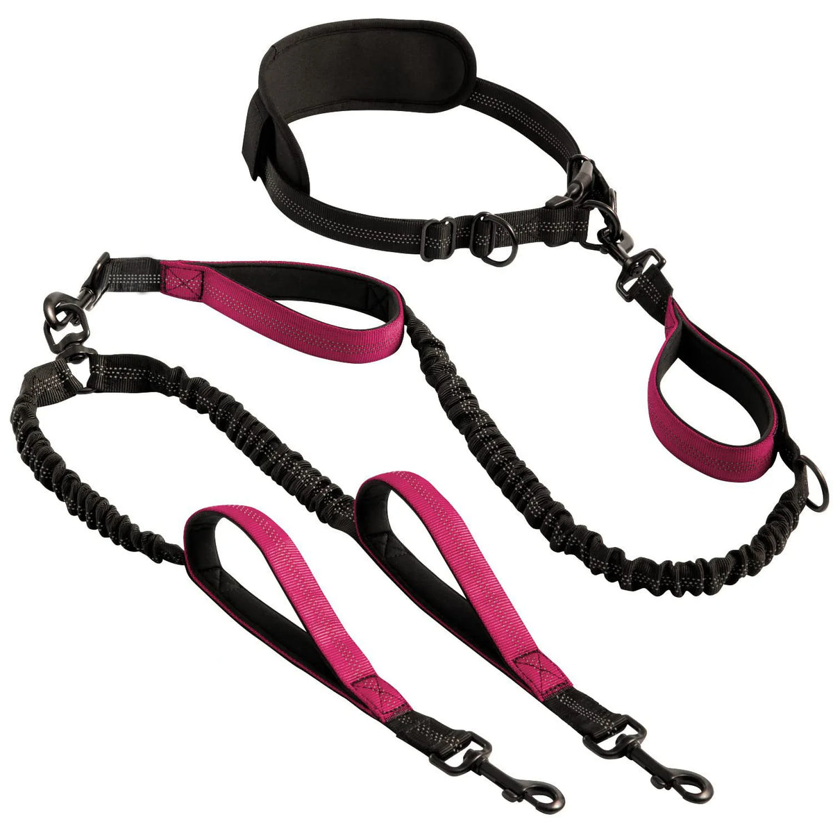 🐾 Heavy-Duty Shock-Absorbing Bungee Dog Leash