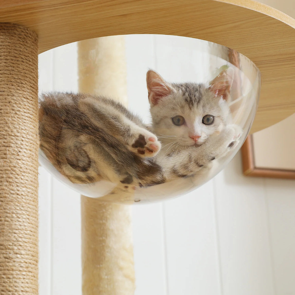 🐱 Multi-Level Wooden Cat Tree with Scratching Posts, Spacious Condo, Hammock & Top Perch