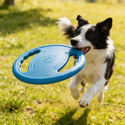 🐾 EVA Flying Disc Chew & Training Toy for Dogs