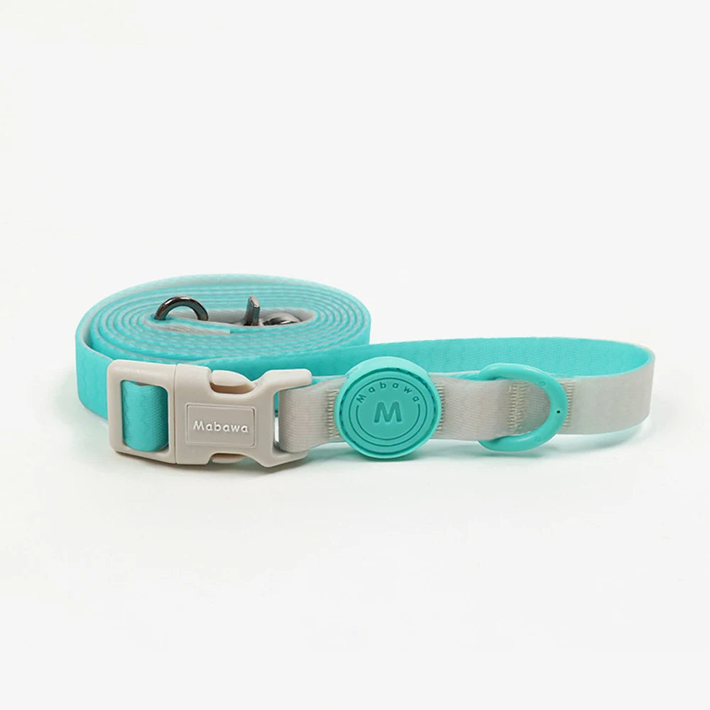 🐾 Candy Color Pet Leash for Small & Medium Dogs & Cats