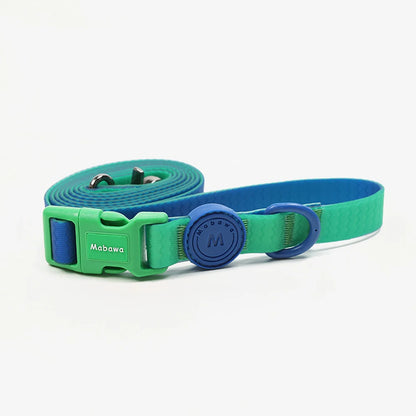 🐾 Candy Color Pet Leash for Small & Medium Dogs & Cats