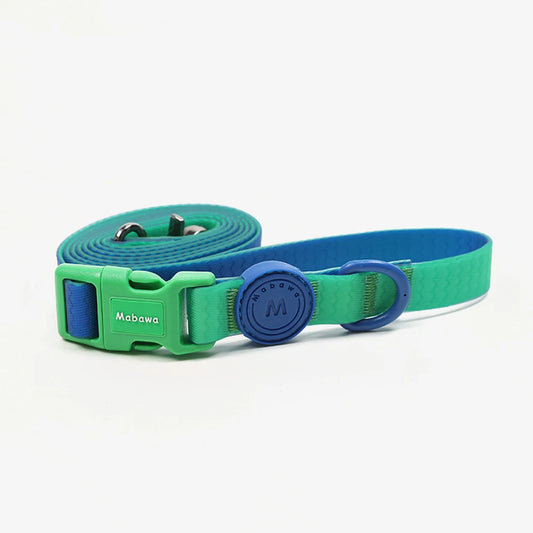 🐾 Candy Color Pet Leash for Small & Medium Dogs & Cats