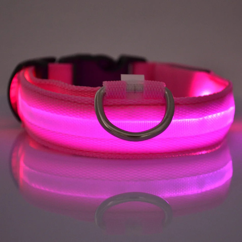 🐾 LED Glow-in-the-Dark Nylon Pet Leash for Dogs
