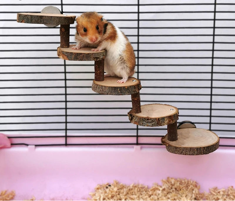 🐹 3/5-Step Wooden Climbing Ladder for Hamsters & Small Pets