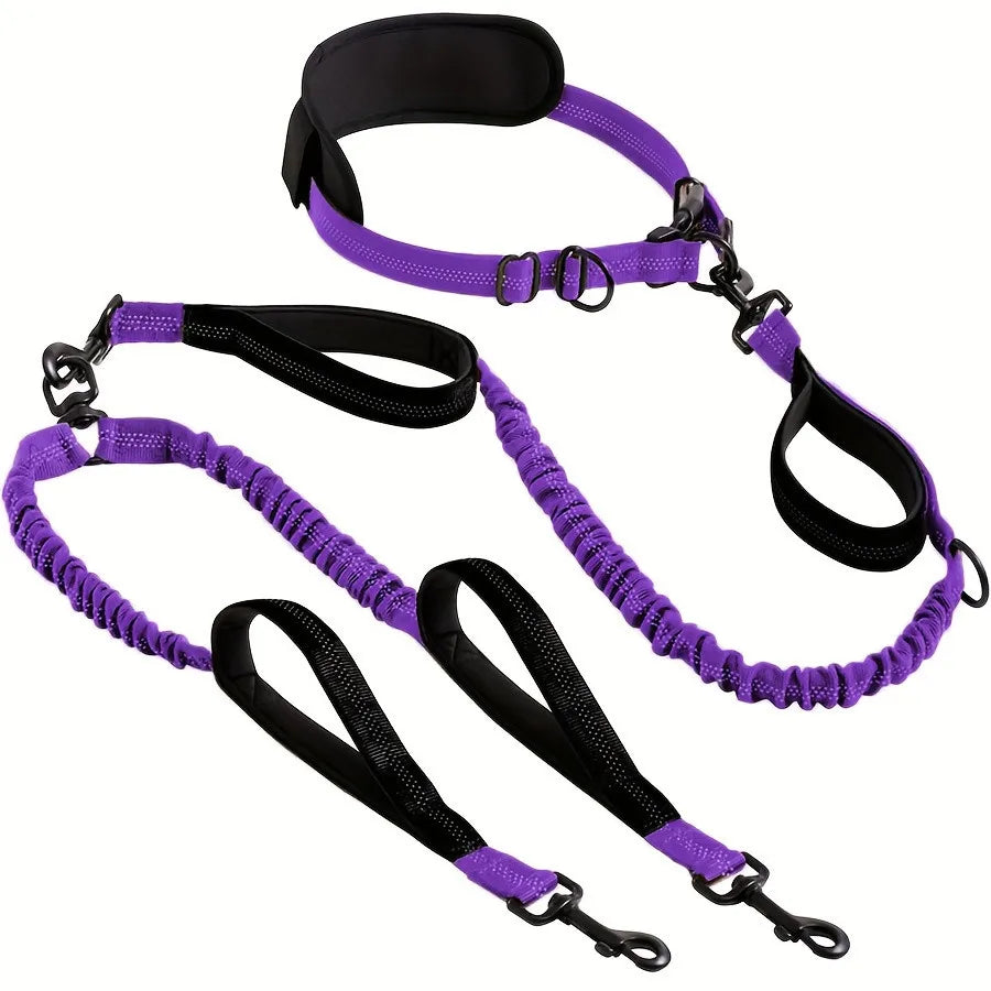 🐾 Heavy-Duty Shock-Absorbing Bungee Dog Leash