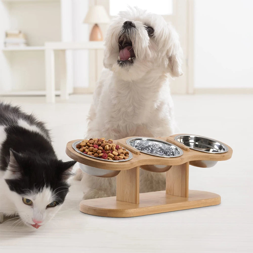 🐾 15° Raised Cat Feeder with 3 Stainless Steel Bowls & Wood Stand