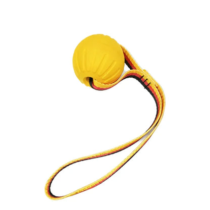 🐾 EVA Hollow Ball Chew & Training Toy for Dogs