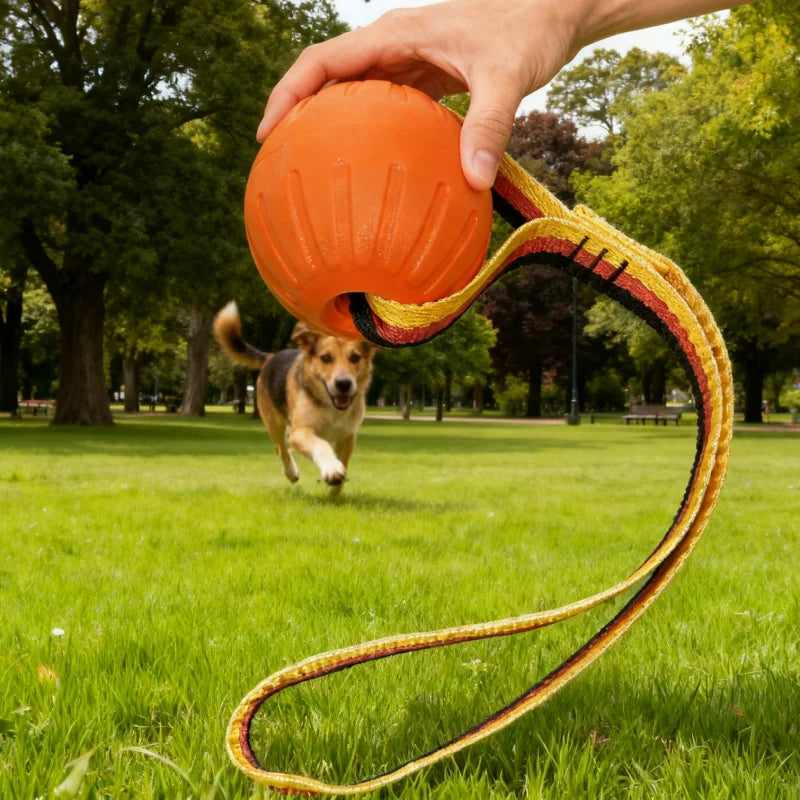🐾 EVA Hollow Ball Chew & Training Toy for Dogs