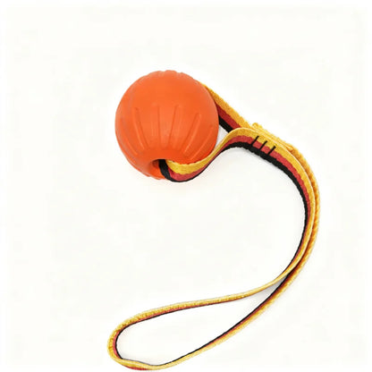 🐾 EVA Hollow Ball Chew & Training Toy for Dogs