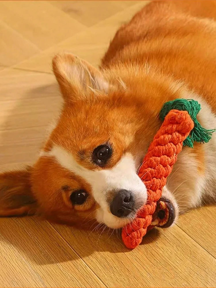 🐾 Handwoven Cotton Rope Knot Chew Toy for Small & Medium Dogs