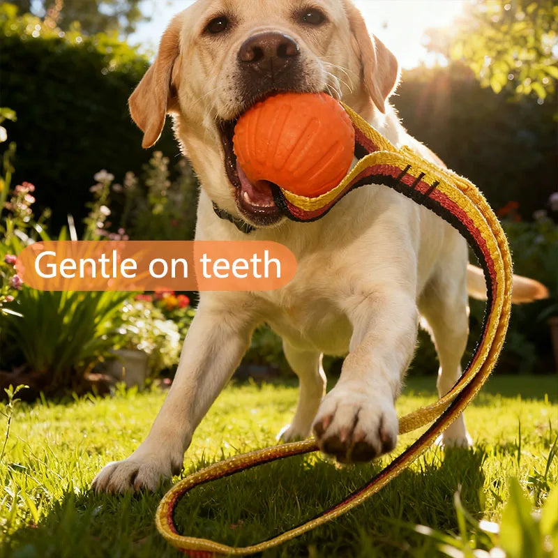 🐾 EVA Hollow Ball Chew & Training Toy for Dogs