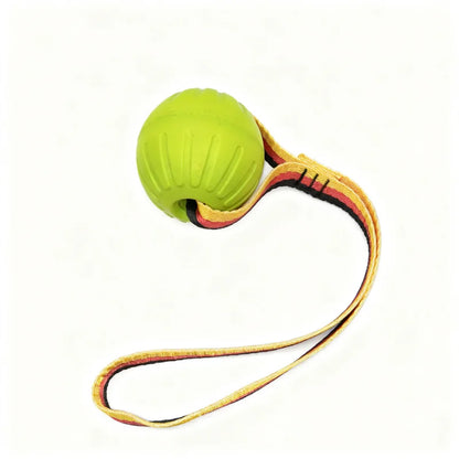 🐾 EVA Hollow Ball Chew & Training Toy for Dogs
