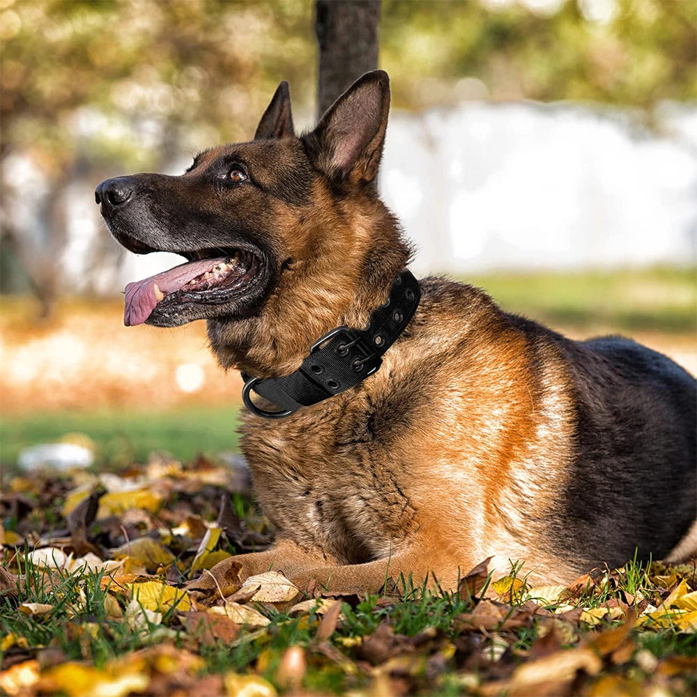 🐾 Durable Nylon Tactical Dog Collar for Medium & Large Dogs – Training, Walking & Working