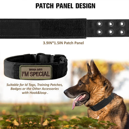 🐾 Durable Nylon Tactical Dog Collar for Medium & Large Dogs – Training, Walking & Working