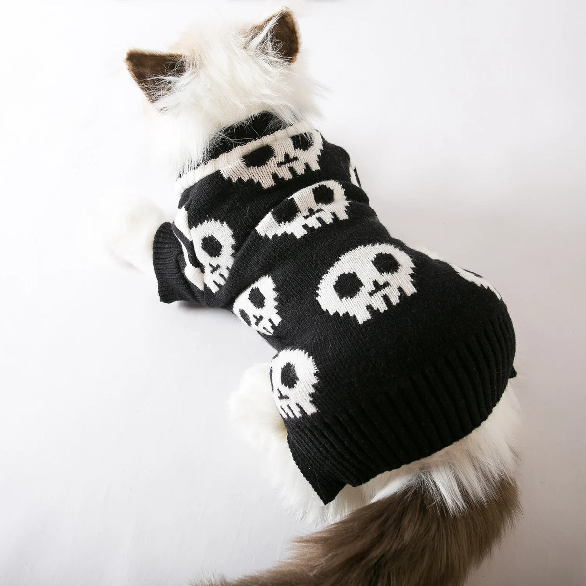 🧵 Halloween Skull Knitted Sweater for Cats & Dogs